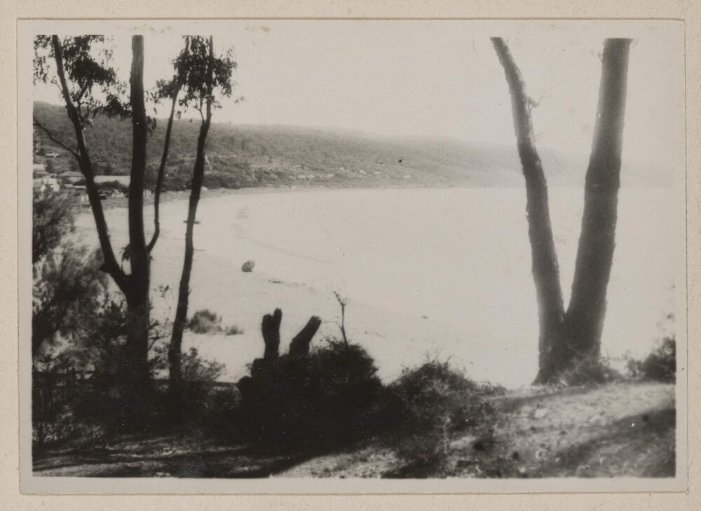 [View of Lorne coastline, Victoria]
