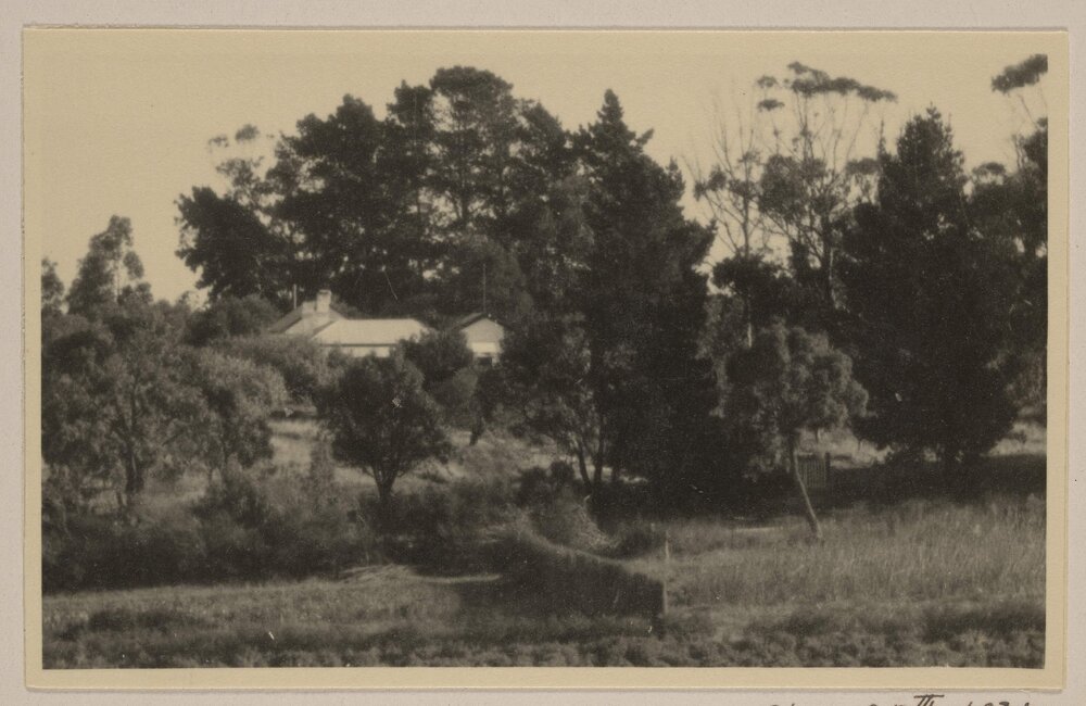 The Cottage