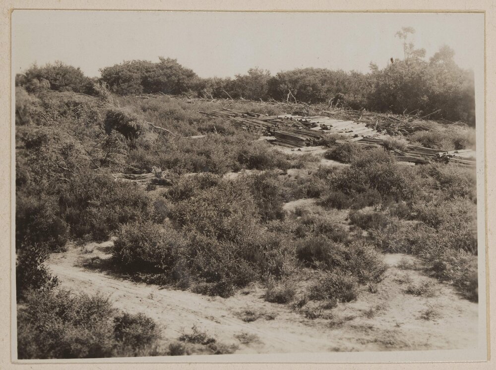 [Royal Melbourne Golf Course]