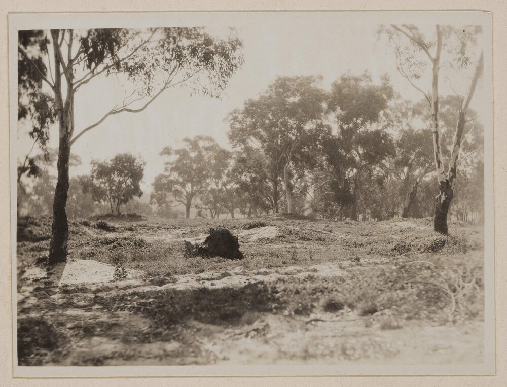 [Royal Melbourne Golf Course]