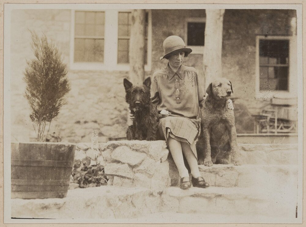 [Woman posed on steps with two dogs]