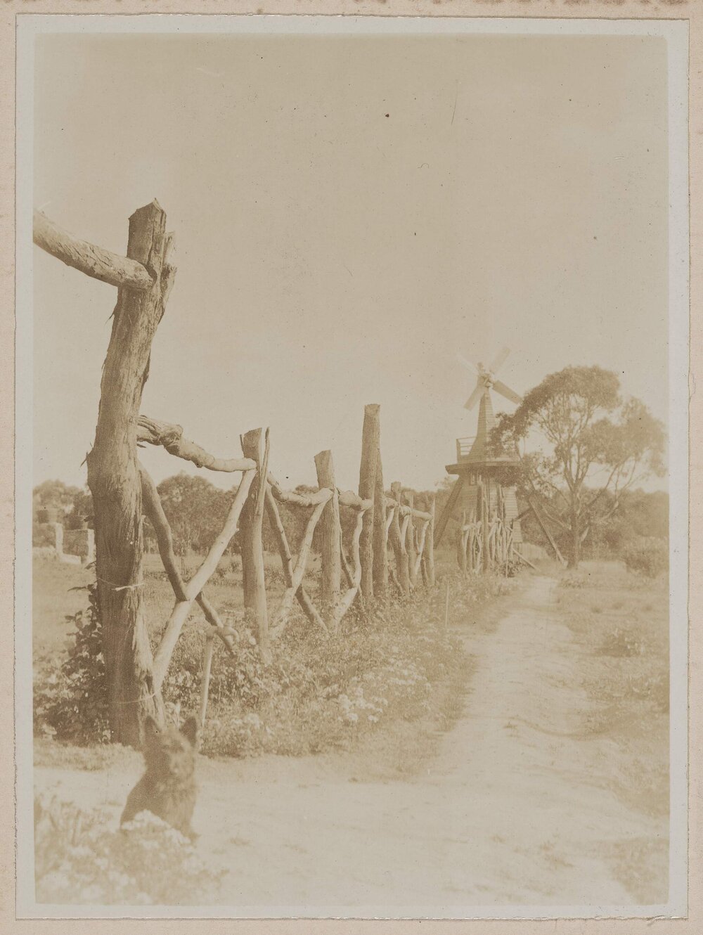 [Fenced path, Westerfield]