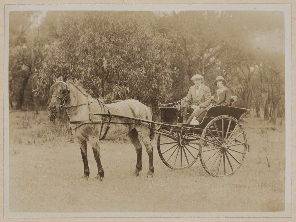 [Man and woman sitting in horse drawn buggy]