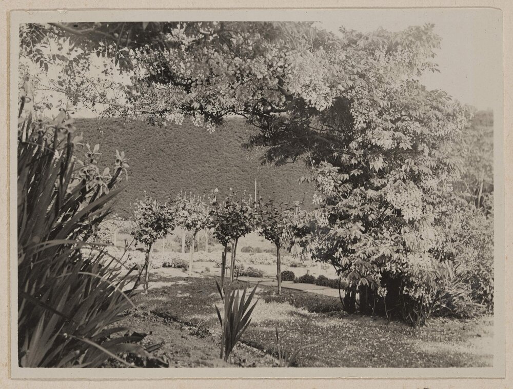 [Garden at Miegunyah]