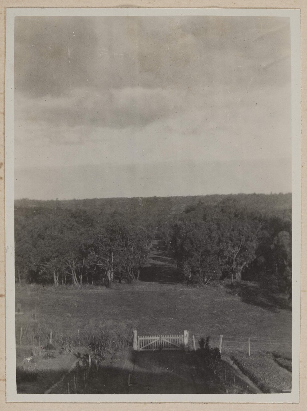 [View of picket gates leading to bushland]