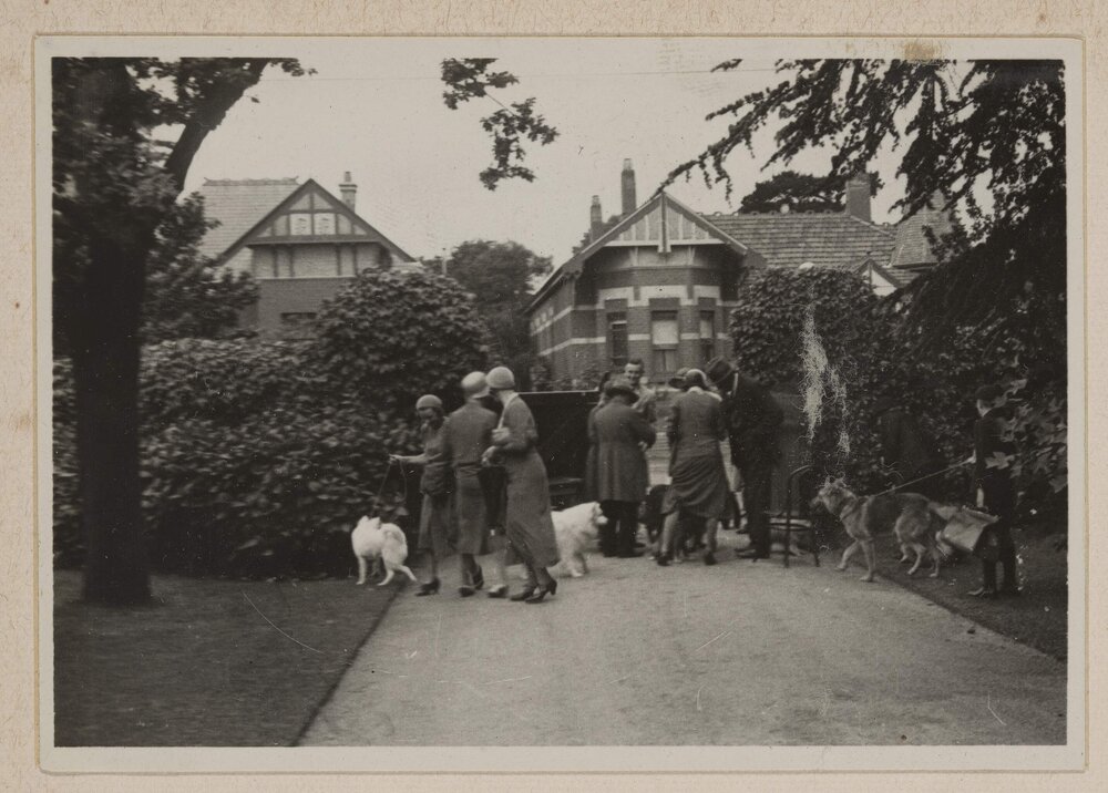 The Comical Dog Show