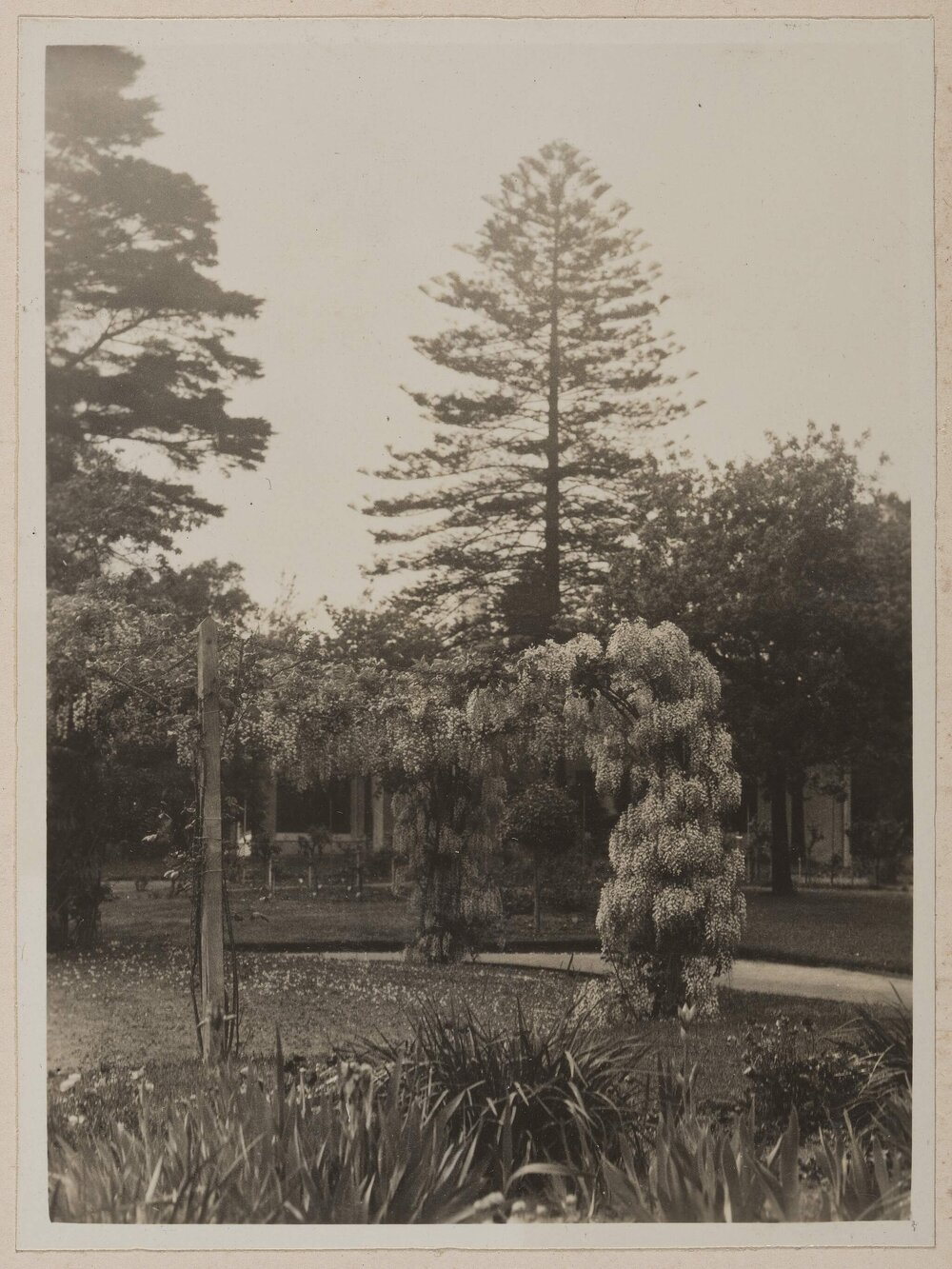 Miegunyah, Orrong Road, Toorak, Victoria