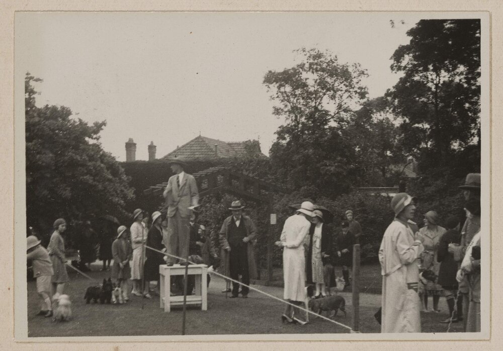 Miegunyah [Comical Dog Show]