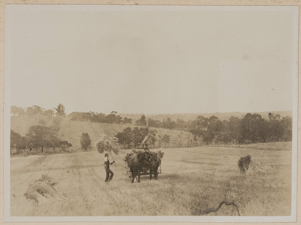 [Men loading hay onto back of truck, Westerfield]