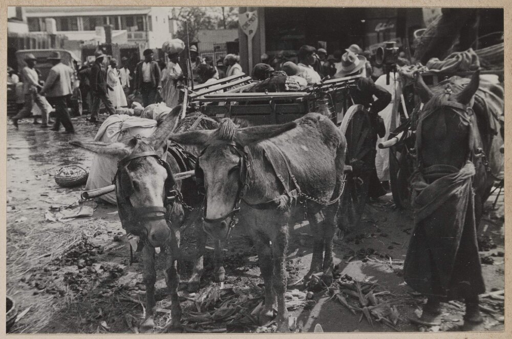 Durban market [South Africa]