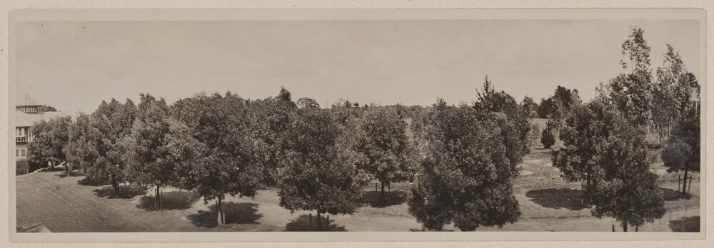 [Panorama, Westerfield grounds]