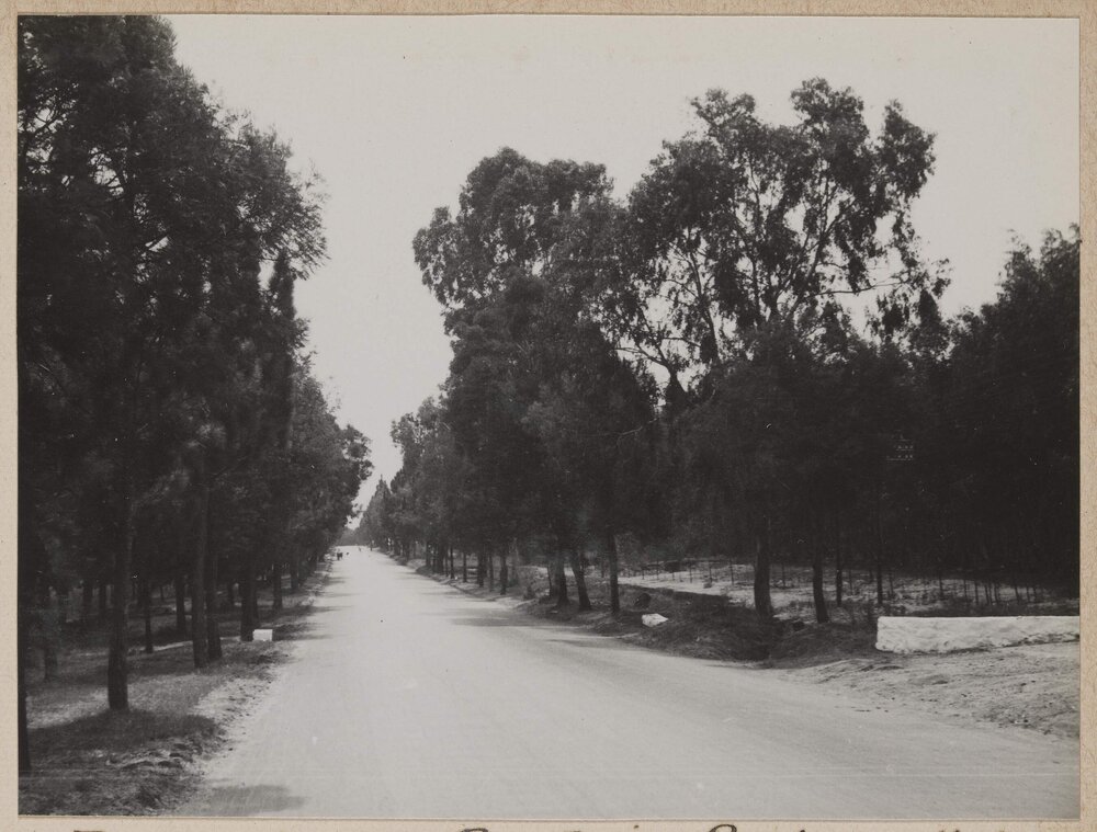 Johannesburg - Pretoria Road [South Africa]