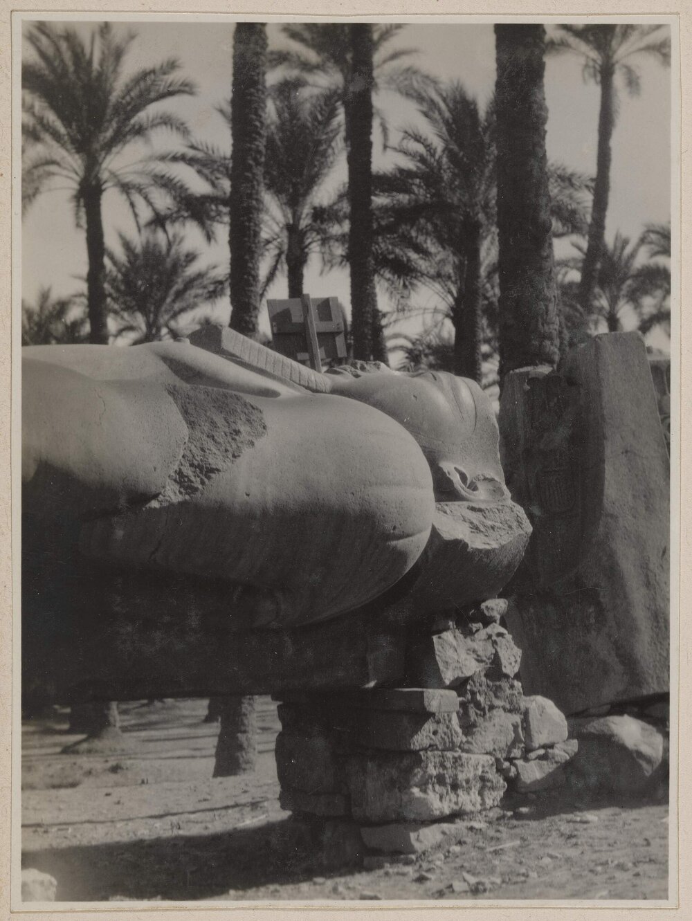 [Colossus of Ramesses II, Memphis, Egypt]