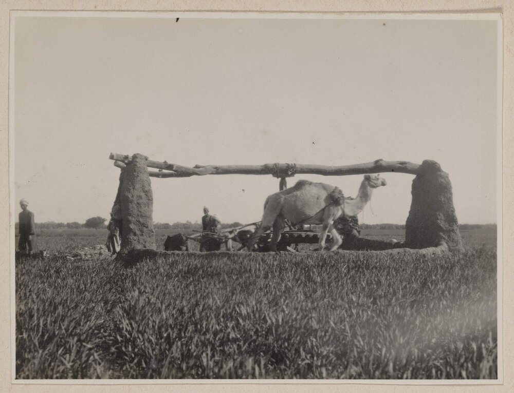 A sakheer