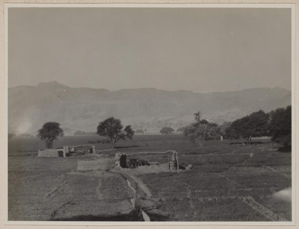Near Luxor [Egypt]