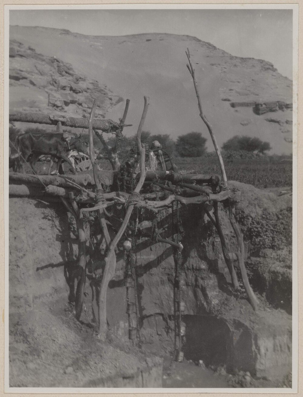 A sakheer at Abu Sibmbel [Egypt]