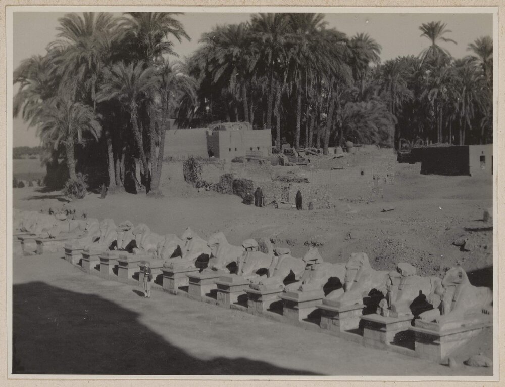 [Avenue of Sphinxes, Karnak, Egypt]