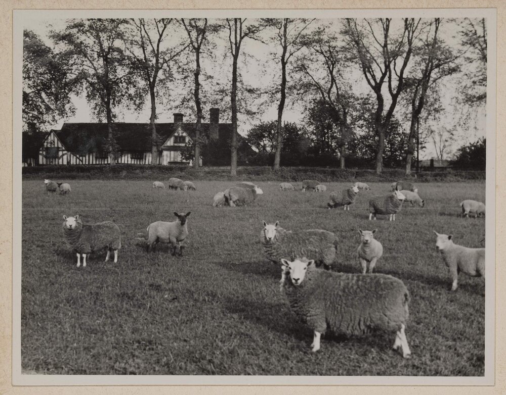 [Josselyns, England]