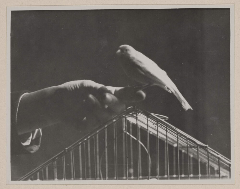 At Alverstoke [England]