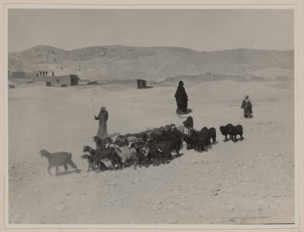 A goatherd