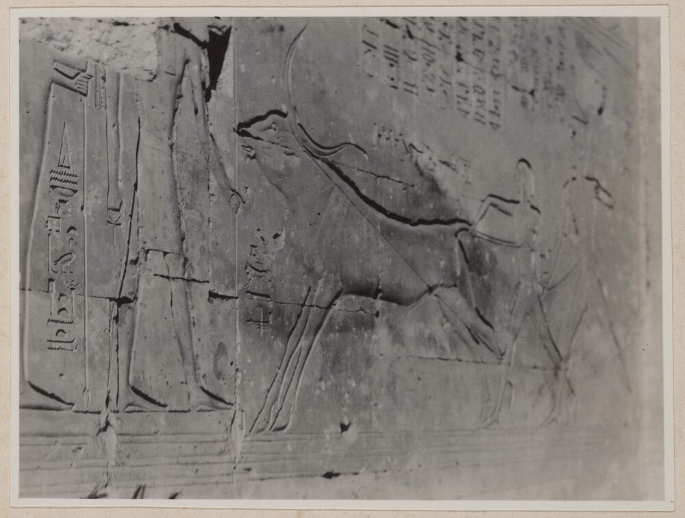 Abydos