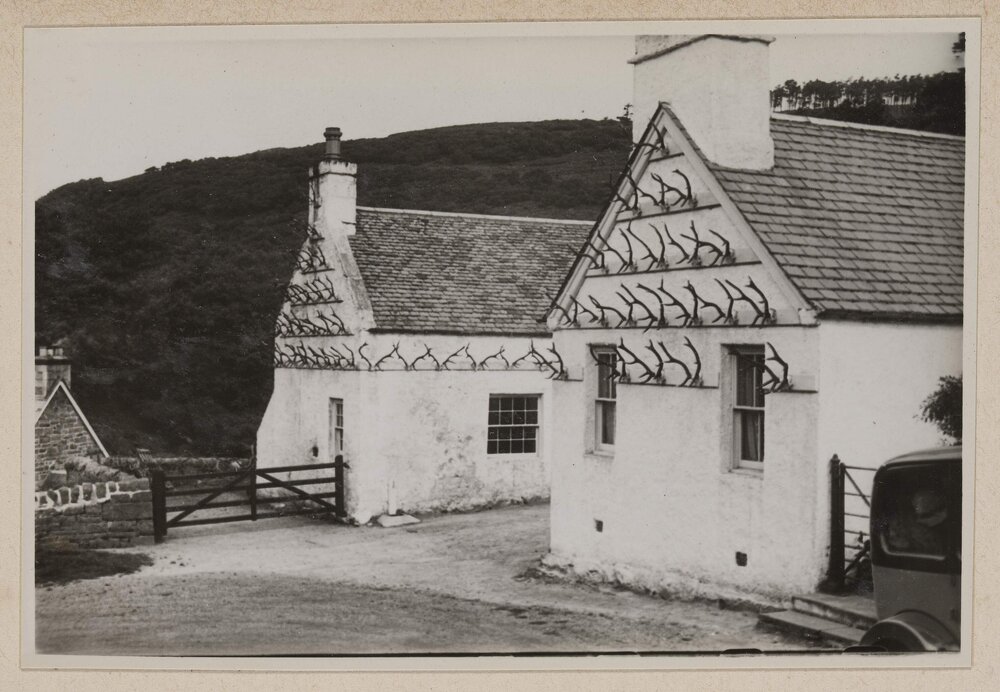 [Deer antlers on fa&ccedil;ade of building]