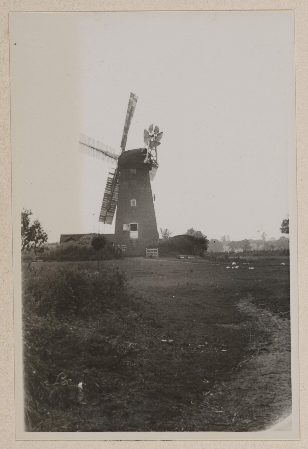 Near Harleston [England]