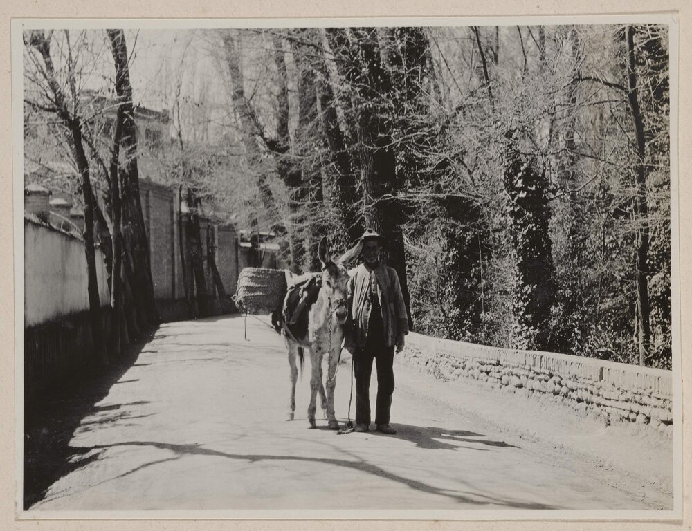 Granada [Spain]