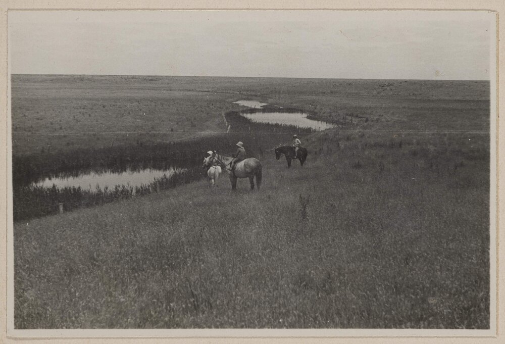 [People riding horses - Barwidgee, Victoria]