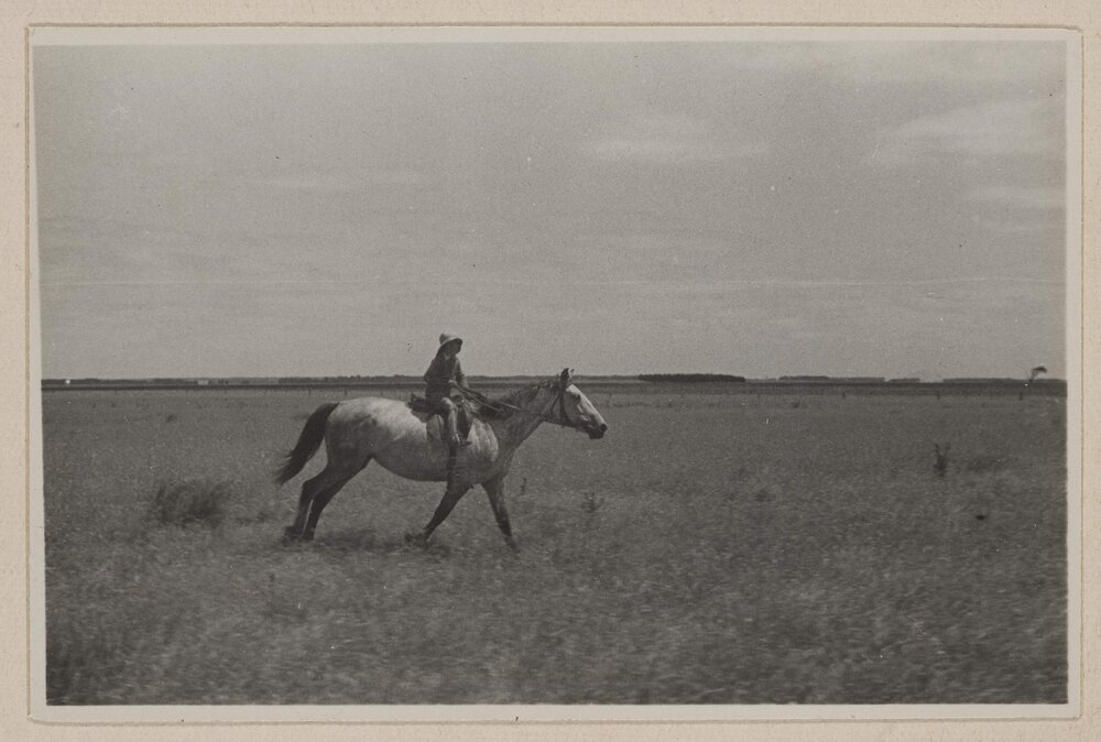 [Person riding horse - Barwidgee, Victoria]