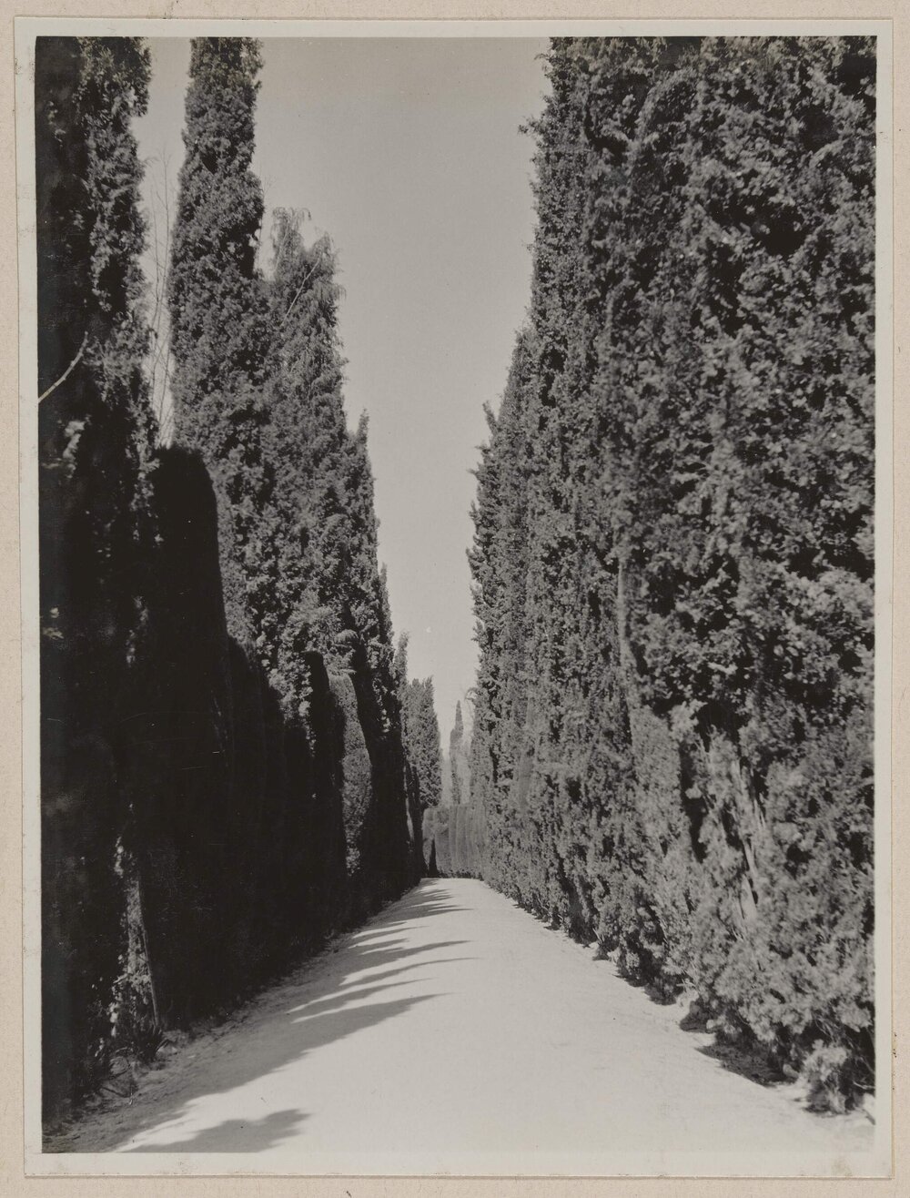 The approach to The Generalife - Granada