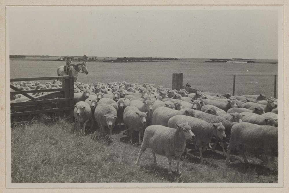 Barwidgee, [Victoria] Xmas 32