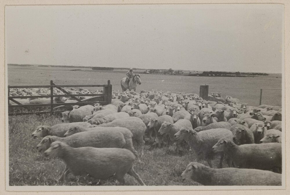 Barwidgee, [Victoria] Xmas 32