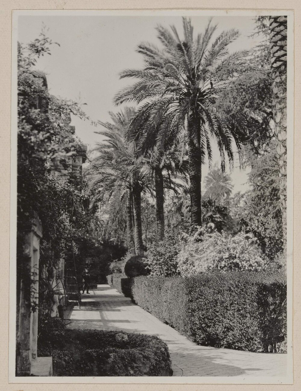 The Alcazar at Sevilla [Spain]