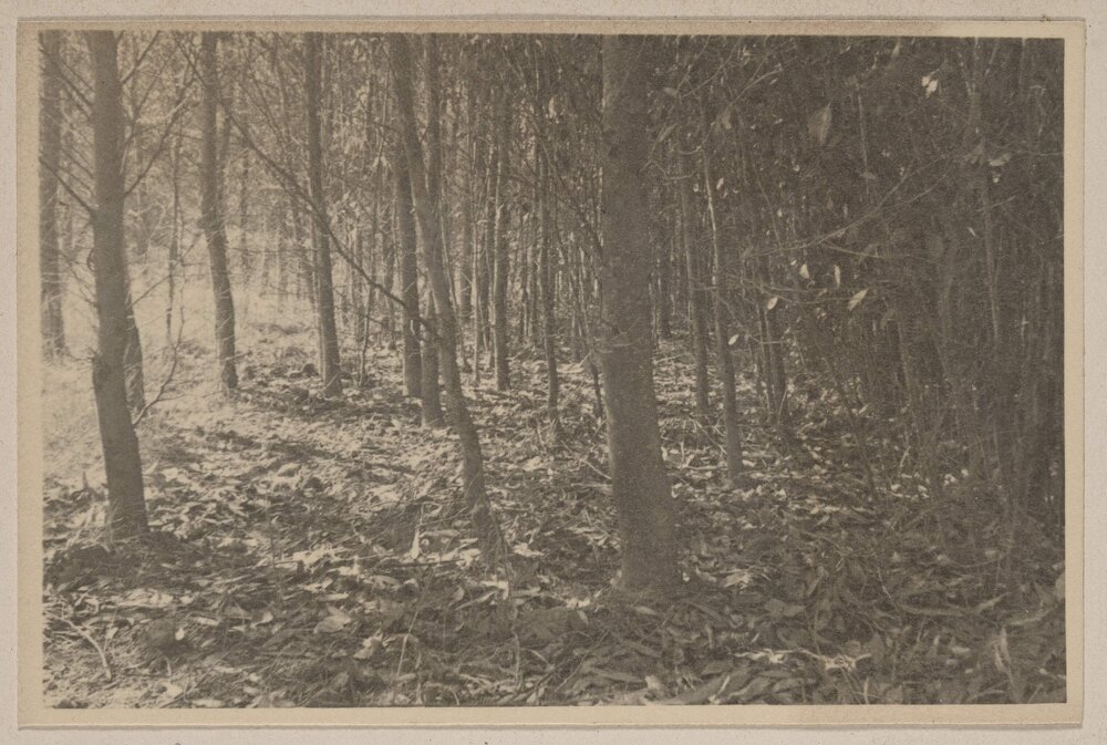 Westerfield