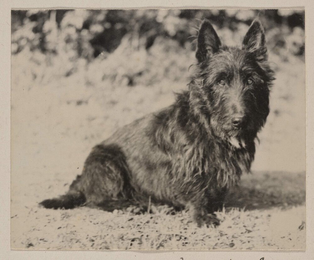 Miegunyah, Orrong Road, Toorak, Victoria