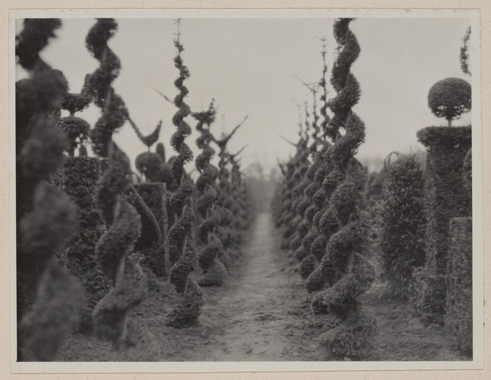 Terra Nova' Nursery at Aalsmeer