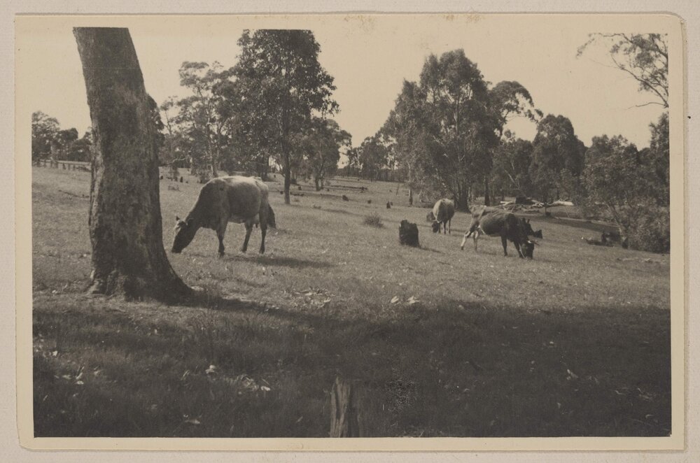 Robgil, Avenel [Victoria]