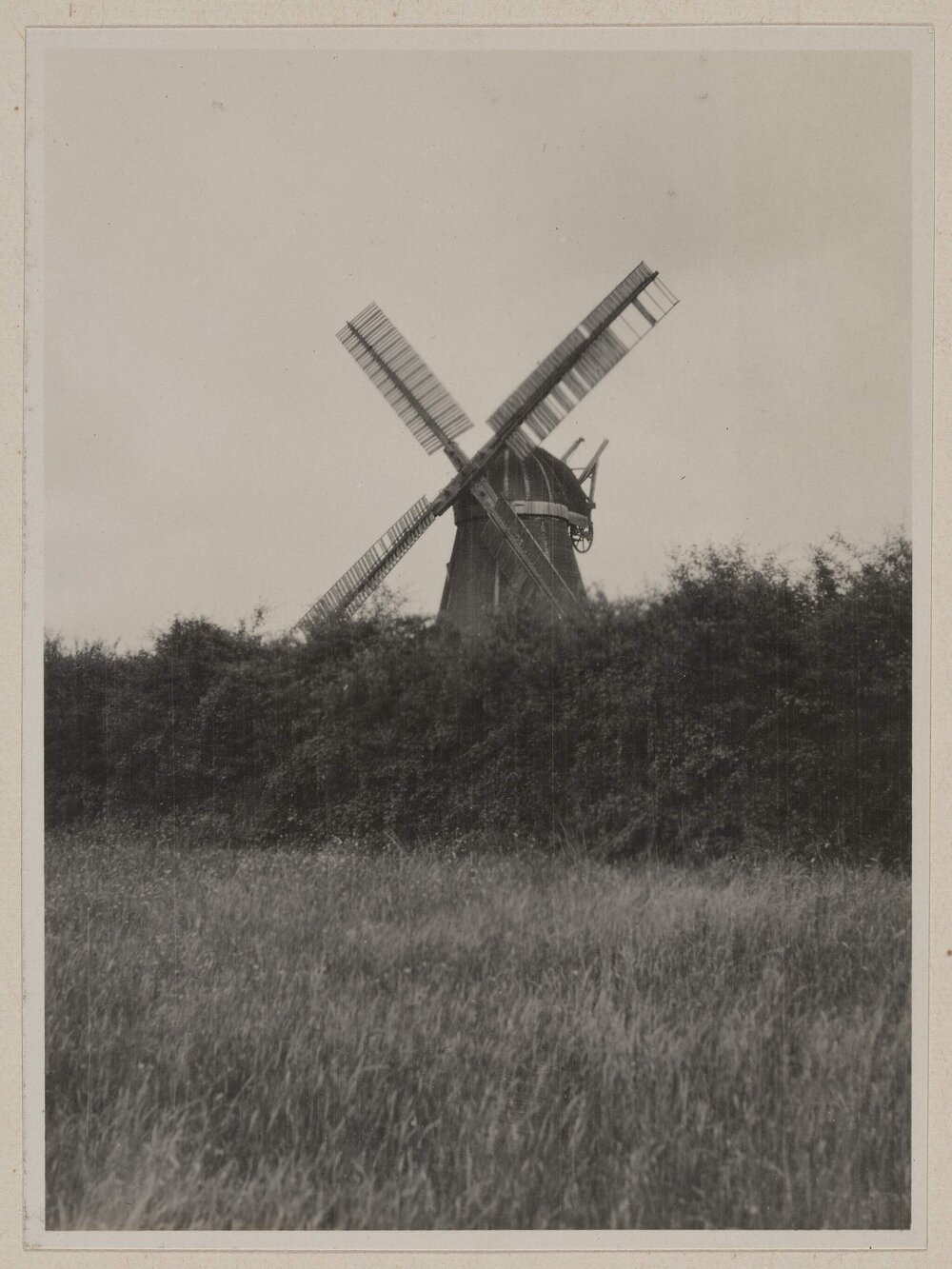 [Windmill behind hedge]