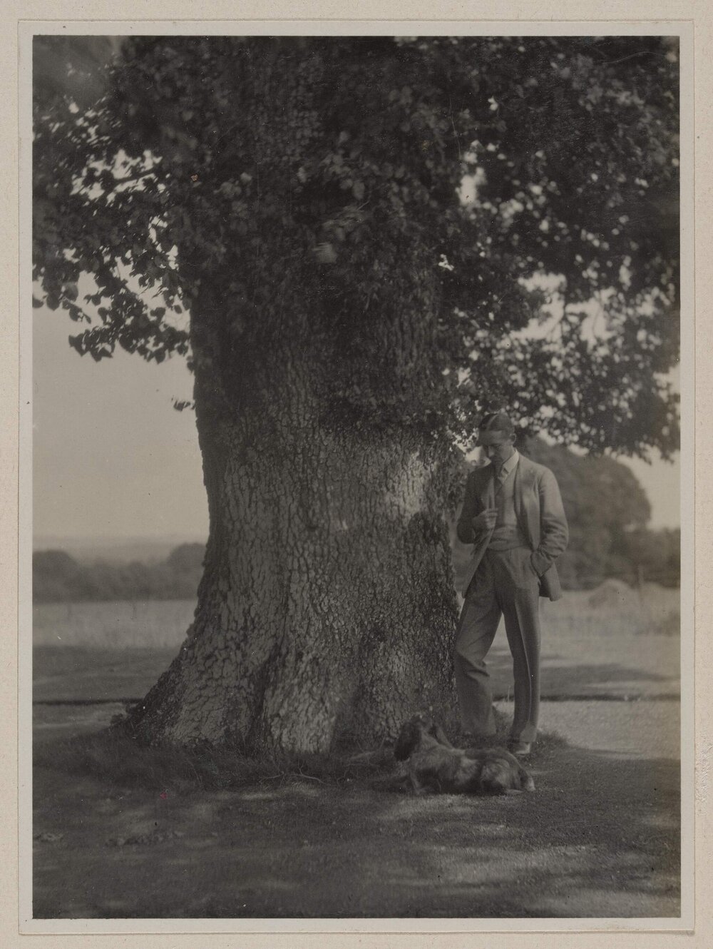 [Man and dog beside large tree]