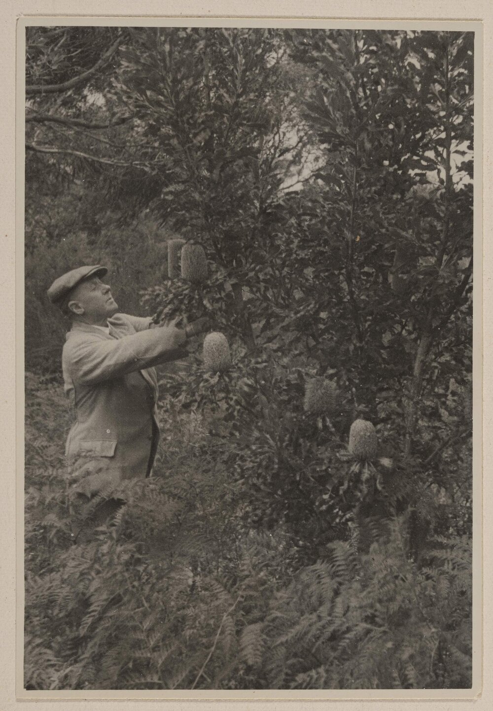 At Frankston Golf Links