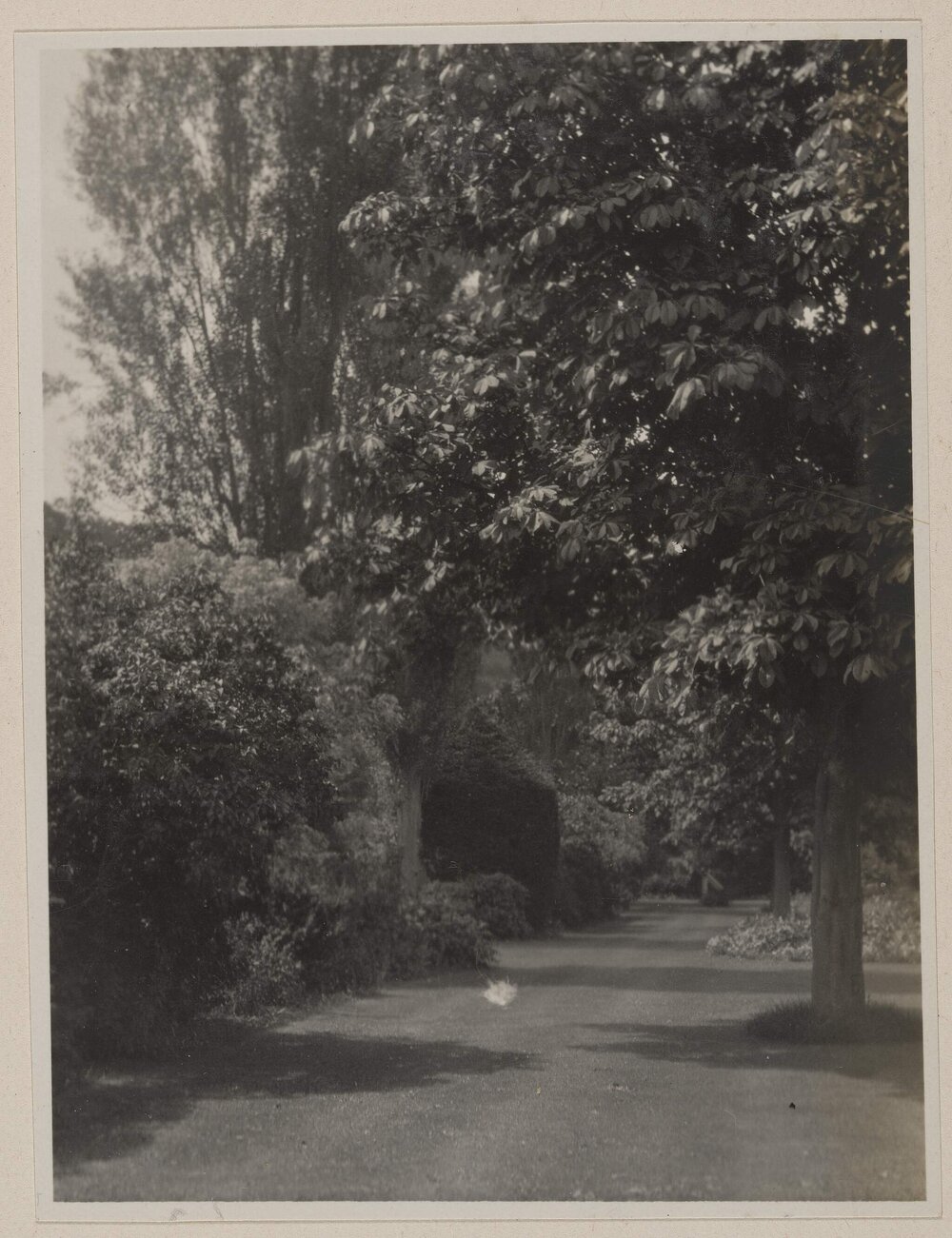 [The Islands Estate, Cookham]