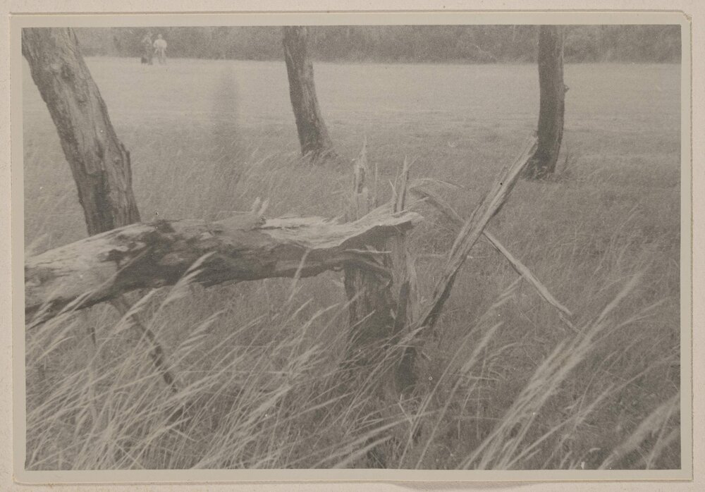 [At Frankston Golf Links]