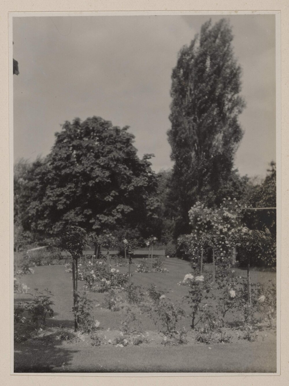 [Garden at The Islands Estate, Cookham]