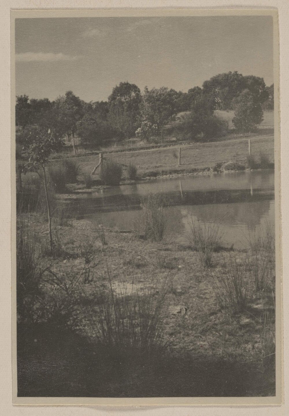 [Fenced dam in paddock with trees in background]