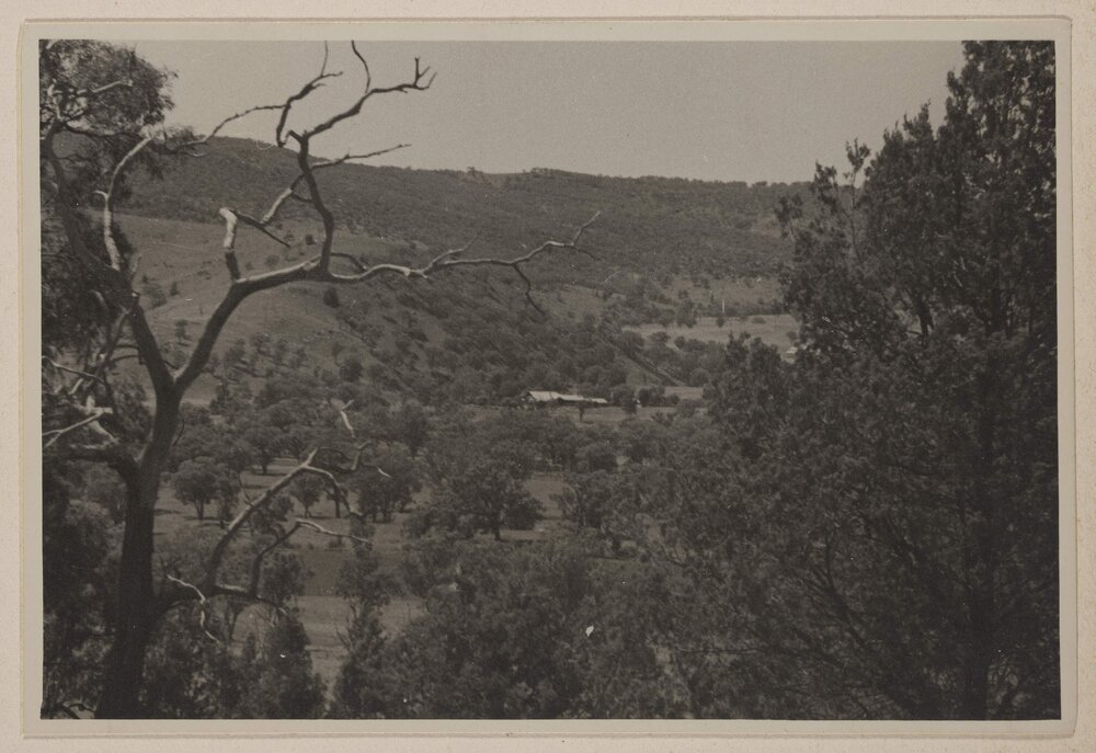 Colly Creek, Quirindi