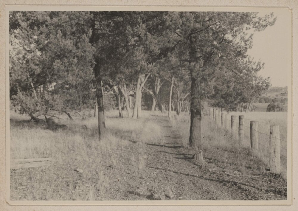 [Colly Creek, Quirindi]