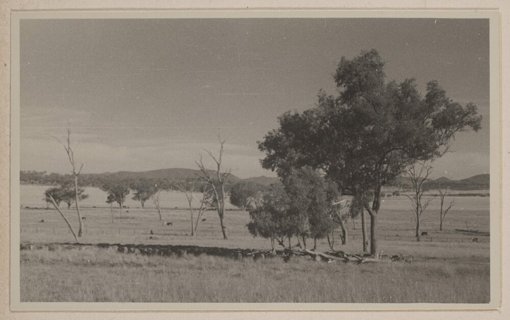 [Colly Creek, Quirindi]