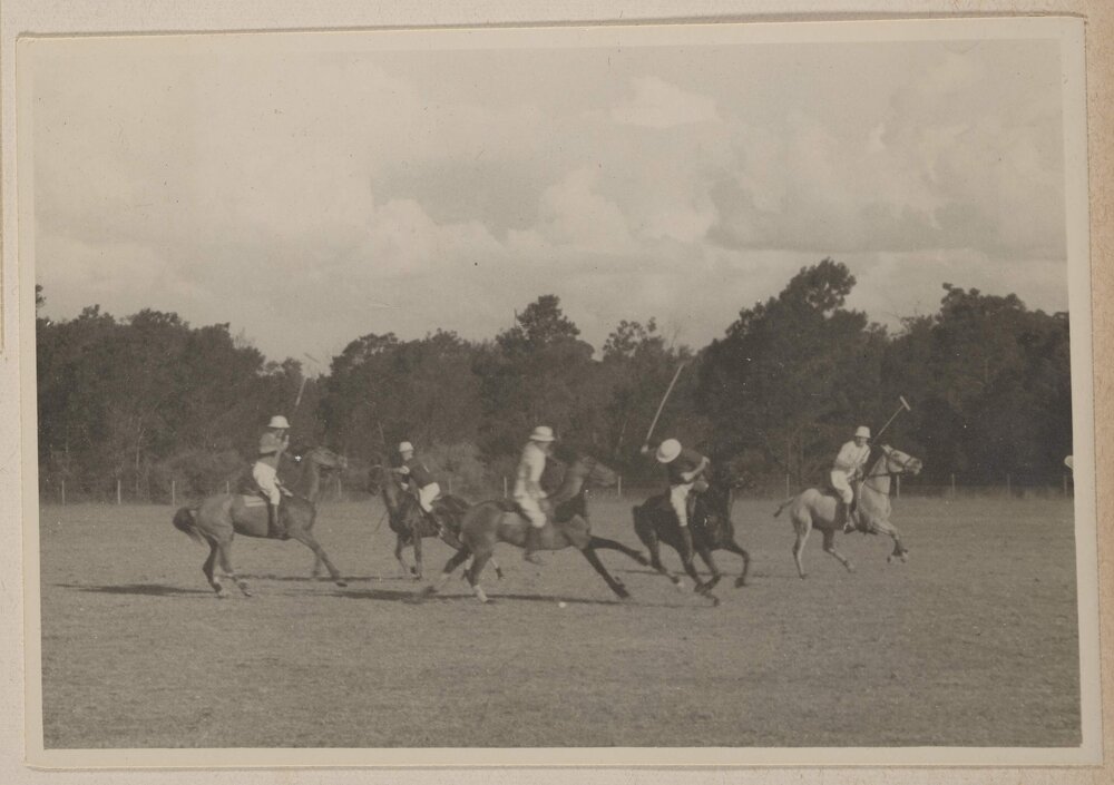 [Polo at] Cobbitty [NSW]