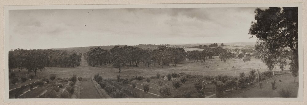 Panoramic of [Westerfield]